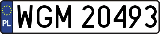 WGM20493