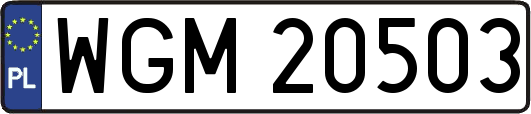 WGM20503