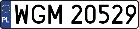 WGM20529