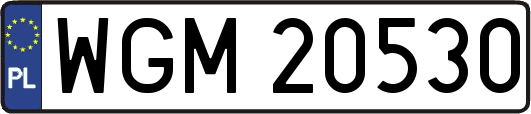 WGM20530