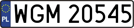 WGM20545