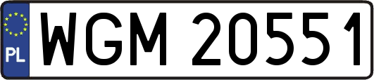 WGM20551