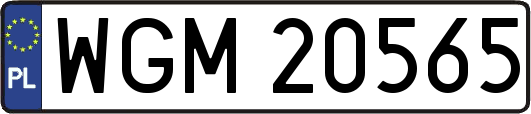 WGM20565