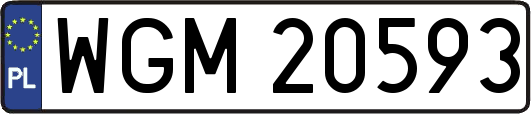 WGM20593