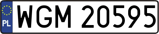 WGM20595
