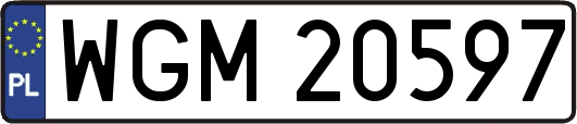 WGM20597