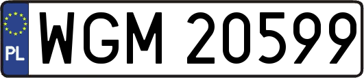 WGM20599