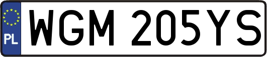 WGM205YS