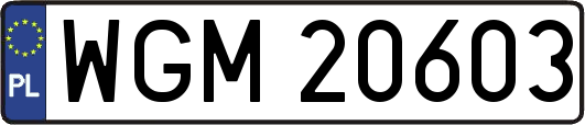 WGM20603