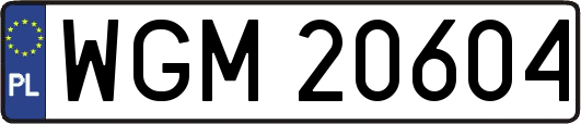 WGM20604
