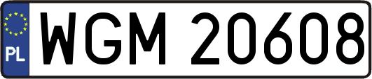 WGM20608