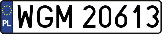 WGM20613