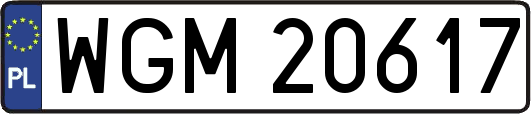 WGM20617