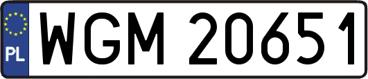 WGM20651