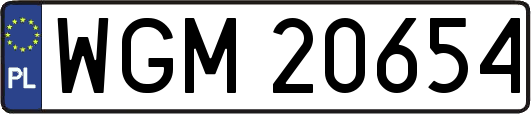 WGM20654