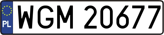 WGM20677