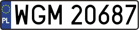 WGM20687