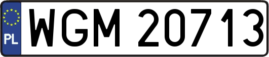 WGM20713