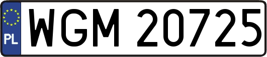 WGM20725