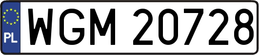 WGM20728