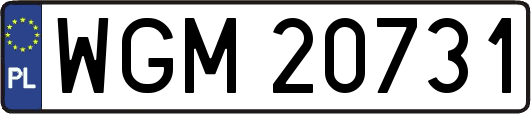WGM20731