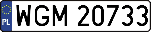 WGM20733