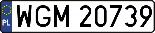 WGM20739