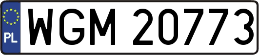 WGM20773