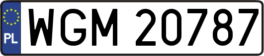 WGM20787