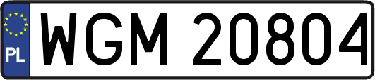 WGM20804