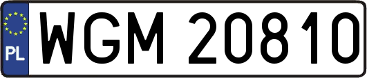 WGM20810