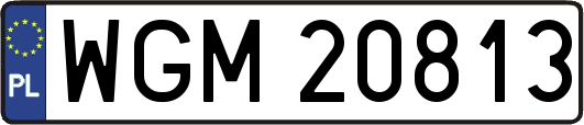 WGM20813