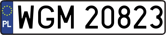 WGM20823