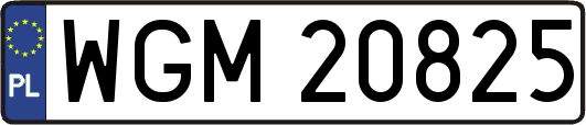 WGM20825