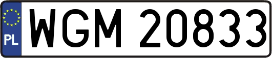 WGM20833