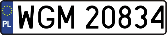 WGM20834