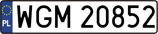 WGM20852