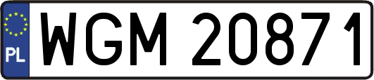 WGM20871