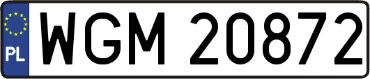 WGM20872
