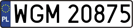 WGM20875
