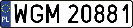 WGM20881