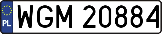 WGM20884