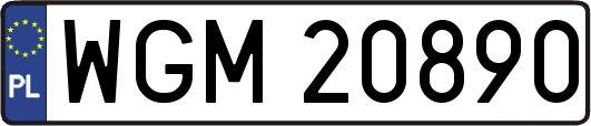 WGM20890