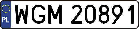 WGM20891