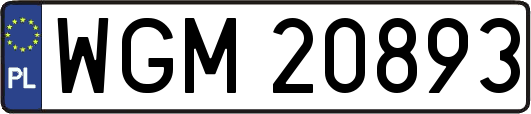 WGM20893