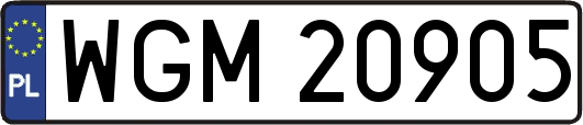 WGM20905