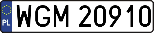 WGM20910
