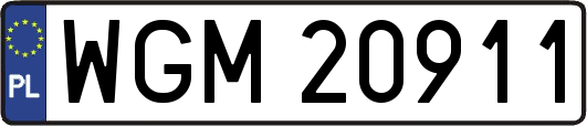 WGM20911