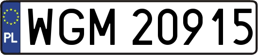 WGM20915