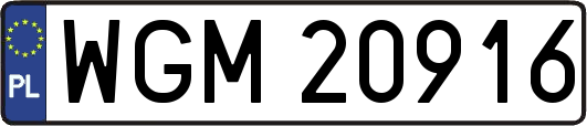 WGM20916